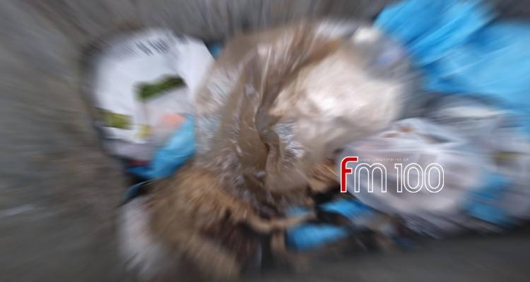 Δ.Ε Ατσικής: Νεκρό πρόβατο σε κάδο απορριμμάτων (photo)