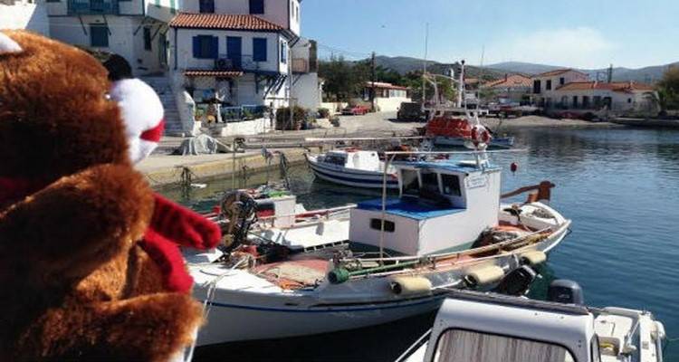 Το ArGOODaki φέτος στηρίζει τα ακριτικά νησιά Ψαρά και Άγιο Ευστράτιο