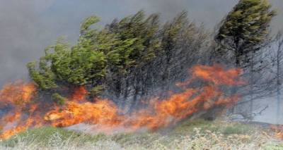 Περιφέρεια Βορείου Αιγαίου: Προληπτικά μέτρα για την αποφυγή πυρκαγιών