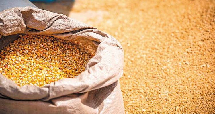 &Nu;έ&alpha; &epsilon;&nu;&iota;&sigma;&chi;&upsilon;&mu;έ&nu;&eta; &sigma;&tau;ή&rho;&iota;&xi;&eta; &tau;&omega;&nu; &kappa;&tau;&eta;&nu;&omicron;&tau;&rho;ό&phi;&omega;&nu; &mu;&epsilon; 50% &alpha;ύ&xi;&eta;&sigma;&eta; &tau;&eta;&sigmaf; &alpha;&pi;&omicron;&zeta;&eta;&mu;ί&omega;&sigma;&eta;&sigmaf; &gamma;&iota;&alpha; &zeta;&omega;&omicron;&tau;&rho;&omicron;&phi;έ&sigmaf;