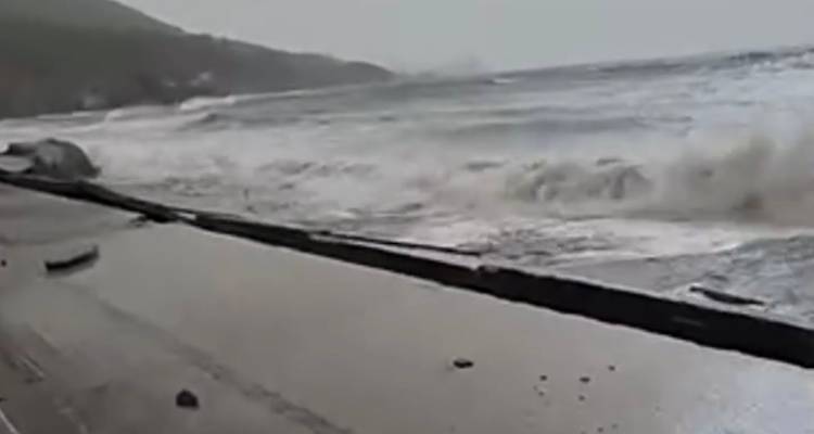 Ά&eta; &Gamma;&iota;ά&nu;&nu;&eta;&sigmaf; &Kappa;ά&sigma;&pi;&alpha;&kappa;&alpha;: &Kappa;&lambda;&epsilon;&iota;&sigma;&tau;ό&sigmaf; &omicron; &pi;&alpha;&rho;&alpha;&lambda;&iota;&alpha;&kappa;ό&sigmaf; &delta;&rho;ό&mu;&omicron;&sigmaf; | &Epsilon;&pi;ί &tau;ό&pi;&omicron;&upsilon; &eta; &Delta;ή&mu;&alpha;&rho;&chi;&omicron;&sigmaf; &kappa;&alpha;&iota; ό&lambda;&omicron;&sigmaf; &omicron; &mu;&eta;&chi;&alpha;&nu;&iota;&sigma;&mu;ό&sigmaf; &tau;&omicron;&upsilon; &Delta;ή&mu;&omicron;&upsilon; | &Alpha;&nu;&alpha;&zeta;&eta;&tau;&omicron;ύ&nu;&tau;&alpha;&iota; ά&mu;&epsilon;&sigma;&epsilon;&sigmaf; &lambda;ύ&sigma;&epsilon;&iota;&sigmaf;