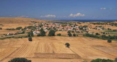 Ρεπανίδι: Τα αποτελέσματα της τοπικής κοινότητας