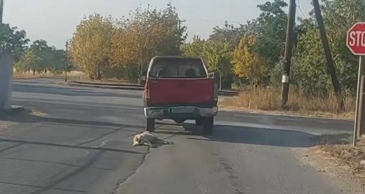 Ημαθία: Ηλικιωμένος συνελήφθη μετά από καταγγελία ότι έσερνε σκυλί με το αγροτικό του -Βίντεο σοκ