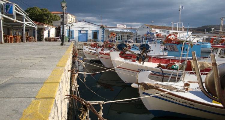 Επιδότηση για μεταποίηση και εμπορία αλιευτικών