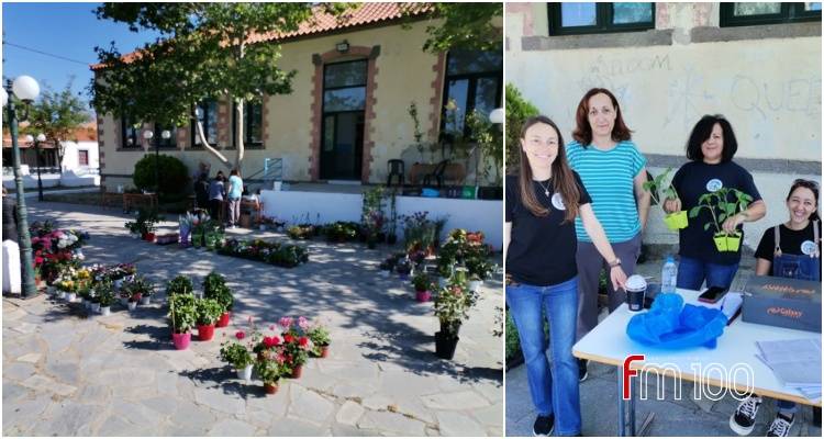 ΕΜΑΣ Παναγιά: Γέμισε χρώματα και άρωμα η αυλή του σχολείου