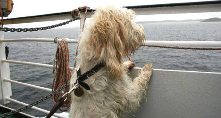 &Tau;&alpha;&xi;&iota;&delta;&epsilon;ύ&epsilon;&iota;&sigmaf; &gamma;&iota;&alpha; &Lambda;&alpha;ύ&rho;&iota;&omicron;; &Sigma;&upsilon;&nu;ό&delta;&epsilon;&upsilon;&sigma;&epsilon; &tau;&omicron; &alpha;&delta;&epsilon;&sigma;&pi;&omicron;&tau;ά&kappa;&iota; &alpha;&pi;ό &tau;&eta; &Lambda;ή&mu;&nu;&omicron; &sigma;&tau;&eta; &nu;έ&alpha; &tau;&omicron;&upsilon; &omicron;&iota;&kappa;&omicron;&gamma;έ&nu;&epsilon;&iota;&alpha;!