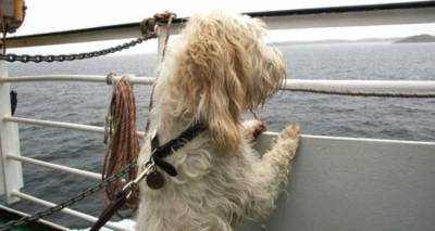 &Tau;&alpha;&xi;&iota;&delta;&epsilon;ύ&epsilon;&iota;&sigmaf; &gamma;&iota;&alpha; &Lambda;&alpha;ύ&rho;&iota;&omicron;; &Sigma;&upsilon;&nu;ό&delta;&epsilon;&upsilon;&sigma;&epsilon; &tau;&omicron; &alpha;&delta;&epsilon;&sigma;&pi;&omicron;&tau;ά&kappa;&iota; &alpha;&pi;ό &tau;&eta; &Lambda;ή&mu;&nu;&omicron; &sigma;&tau;&eta; &nu;έ&alpha; &tau;&omicron;&upsilon; &omicron;&iota;&kappa;&omicron;&gamma;έ&nu;&epsilon;&iota;&alpha;!