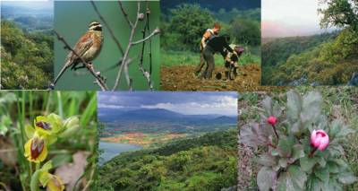 &Pi;&rho;&omicron;&sigmaf; &alpha;&nu;ά&delta;&epsilon;&iota;&xi;&eta; &eta; &beta;&iota;&omicron;&pi;&omicron;&iota;&kappa;&iota;&lambda;ό&tau;&eta;&tau;&alpha; &tau;&eta;&sigmaf; &Lambda;ή&mu;&nu;&omicron;&upsilon; | &Sigma;&upsilon;&nu;ά&nu;&tau;&eta;&sigma;&eta; &sigma;&tau;&omicron; &Epsilon;&pi;&alpha;&rho;&chi;&epsilon;ί&omicron; &tau;&omicron;&upsilon; &nu;&eta;&sigma;&iota;&omicron;ύ