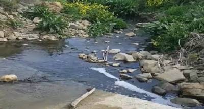 &Kappa;&alpha;&tau;&alpha;&gamma;&gamma;&epsilon;&lambda;ί&alpha; &gamma;&iota;&alpha; &tau;&alpha; &beta;&omicron;&theta;&rho;&omicron;&lambda;ύ&mu;&alpha;&tau;&alpha; &tau;&omicron;&upsilon; &Alpha;&gamma;ί&omicron;&upsilon; &Delta;&eta;&mu;&eta;&tau;&rho;ί&omicron;&upsilon;