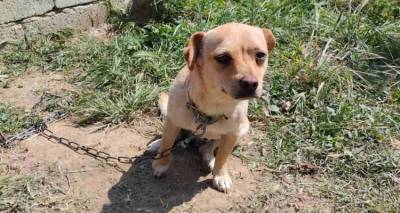 &Chi;ά&theta;&eta;&kappa;&epsilon; &sigma;&tau;&eta;&nu; &Alpha;&tau;&sigma;&iota;&kappa;ή