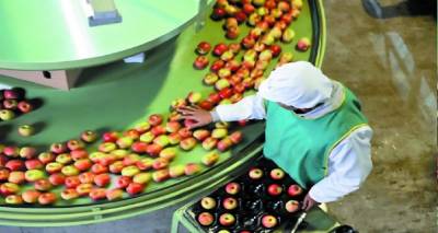 &Mu;&epsilon;&tau;&alpha;&pi;&omicron;ί&eta;&sigma;&eta; &ndash; &Epsilon;&phi;&omicron;&delta;&iota;&alpha;&sigma;&tau;&iota;&kappa;ή &Alpha;&lambda;&upsilon;&sigma;ί&delta;&alpha; | Ά&nu;&omicron;&iota;&xi;&epsilon; &tau;&omicron; &pi;&rho;ό&gamma;&rho;&alpha;&mu;&mu;&alpha; &nu;έ&omega;&nu; &chi;&rho;&eta;&mu;&alpha;&tau;&omicron;&delta;&omicron;&tau;ή&sigma;&epsilon;&omega;&nu;