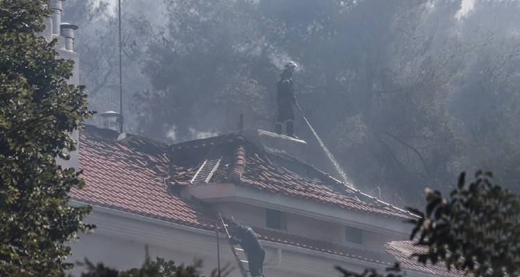 Φωτιά στη Σταμάτα: Ξεκίνησε από μελίσσια; | Πώς αποφεύχθηκαν τα χειρότερα - Μετράνε τις ζημιές οι κάτοικοι