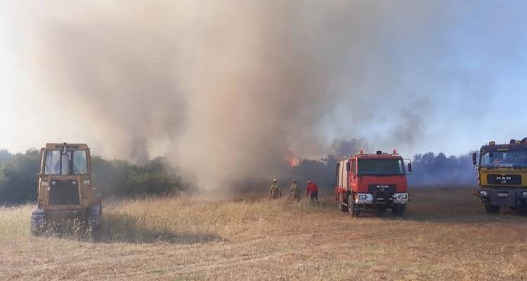 &Lambda;ή&mu;&nu;&omicron;&sigmaf;: &Alpha;&pi;&alpha;&gamma;ό&rho;&epsilon;&upsilon;&sigma;&eta; &kappa;&alpha;ύ&sigma;&eta;&sigmaf; &sigma;&tau;&eta;&nu; ύ&pi;&alpha;&iota;&theta;&rho;&omicron; &alpha;&pi;ό 11 έ&omega;&sigmaf; 18 &Mu;&alpha;&rho;&tau;ί&omicron;&upsilon; | &Alpha;&upsilon;&sigma;&tau;&eta;&rho;ά &mu;έ&tau;&rho;&alpha; &pi;&rho;ό&lambda;&eta;&psi;&eta;&sigmaf;