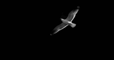 &laquo;Έ&sigma;&beta;&eta;&sigma;&epsilon;&raquo; &eta; &mu;&iota;&kappa;&rho;ή &Mu;&epsilon;&lambda;ί&nu;&alpha; &alpha;&pi;ό &tau;&eta; &Lambda;ή&mu;&nu;&omicron;