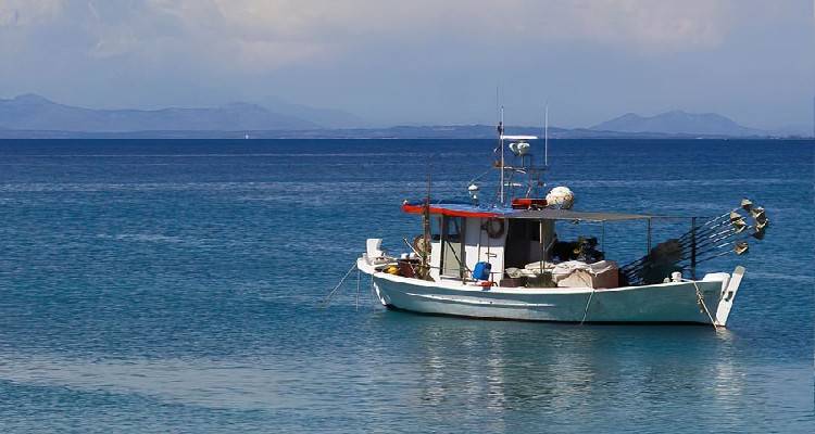 &Epsilon;&rho;ώ&tau;&eta;&sigma;&eta; &Mu;&pi;&omicron;&upsilon;&rho;&nu;&omicron;ύ &sigma;&epsilon; &Gamma;&epsilon;&omega;&rho;&gamma;&alpha;&nu;&tau;ά: &Gamma;&iota;&alpha; &delta;&epsilon;ύ&tau;&epsilon;&rho;&eta; &phi;&omicron;&rho;ά &sigma;&tau;&eta;&nu; ί&delta;&iota;&alpha; &alpha;&lambda;&iota;&epsilon;&upsilon;&tau;&iota;&kappa;ή &pi;&epsilon;&rho;ί&omicron;&delta;&omicron; &mu;&pi;&lambda;&omicron;&kappa;ά&rho;&epsilon;&tau;&alpha;&iota; &eta; &alpha;&lambda;&iota;&epsilon;ί&alpha; &omicron;&sigma;&tau;&rho;ά&kappa;&omega;&nu;