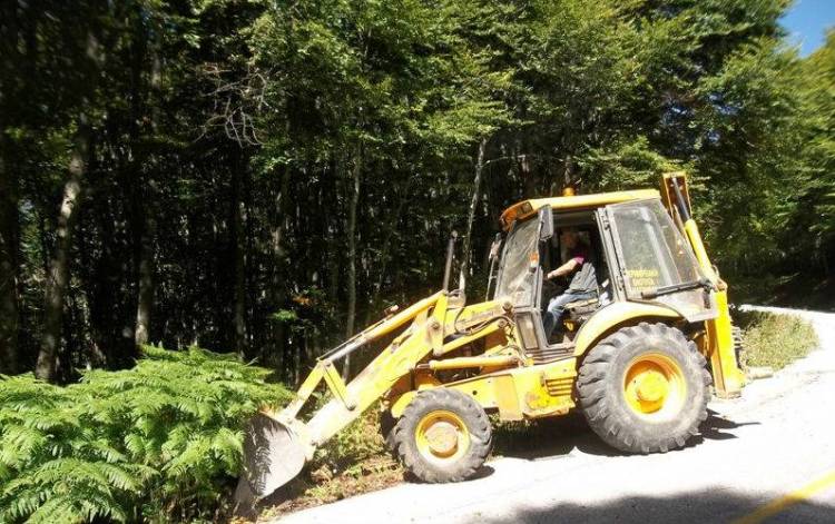 Ξεκίνησαν οι εργασίες κλαδέματος δέντρων στην επαρχιακή οδό Λιβαδοχωρίου - Κοντιά