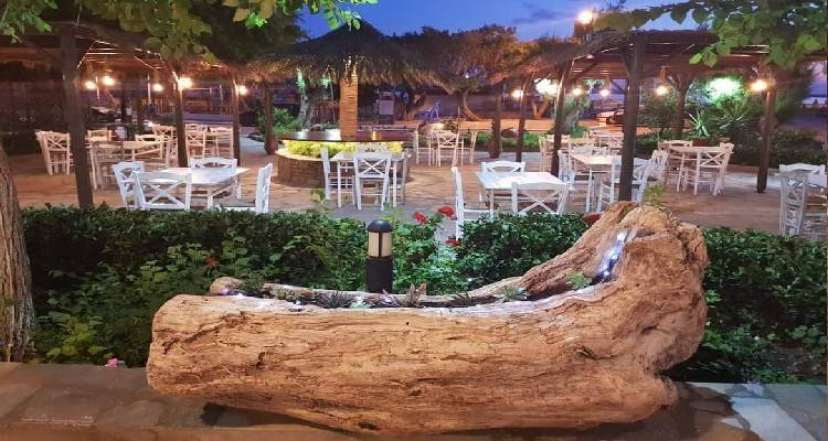 "T&omicron; &Kappa;ύ&mu;&alpha;" &sigma;&tau;&omicron; &Mu;&omicron;ύ&delta;&rho;&omicron;: &Kappa;ά&theta;&epsilon; &Pi;&alpha;&rho;&alpha;&sigma;&kappa;&epsilon;&upsilon;ή &omicron;&iota; &beta;&rho;&alpha;&delta;&iota;έ&sigmaf; &sigma;&alpha;&sigmaf; &zeta;&omega;&nu;&tau;&alpha;&nu;&epsilon;ύ&omicron;&upsilon;&nu;!