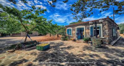 &Iota;&delta;&iota;&omega;&tau;&iota;&kappa;ή &pi;&rho;&omega;&tau;&omicron;&beta;&omicron;&upsilon;&lambda;ί&alpha; &delta;ί&nu;&epsilon;&iota; &kappa;&alpha;&iota; &pi;ά&lambda;&iota; &zeta;&omega;ή &sigma;&tau;&omicron; &Pi;&alpha;&lambda;&iota;ό &Pi;&epsilon;&delta;&iota;&nu;ό (photos)