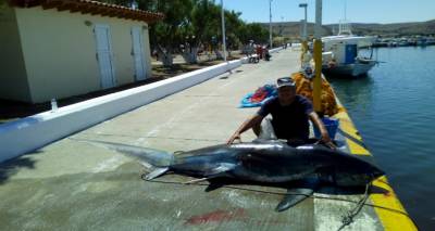 &Lambda;ή&mu;&nu;&omicron;&sigmaf;: Έ&pi;&iota;&alpha;&sigma;&alpha;&nu; &kappa;&alpha;&rho;&chi;&alpha;&rho;ί&alpha; 200 &kappa;&iota;&lambda;ώ&nu; (photos)