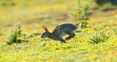 &Alpha;&delta;&alpha;&mu;ί&delta;&eta;&sigmaf;: &laquo;&Eta; &sigma;ύ&sigma;&kappa;&epsilon;&psi;&eta; &gamma;&iota;&alpha; &tau;&alpha; &alpha;&gamma;&rho;&iota;&omicron;&kappa;&omicron;ύ&nu;&epsilon;&lambda;&alpha; &tau;&eta;&sigmaf; &Lambda;ή&mu;&nu;&omicron;&upsilon; &theta;&alpha; &pi;&rho;έ&pi;&epsilon;&iota; &nu;&alpha; &epsilon;ί&nu;&alpha;&iota; &epsilon;&pi;ί &tau;&eta;&sigmaf; &omicron;&upsilon;&sigma;ί&alpha;&sigmaf;&raquo; (mp3)