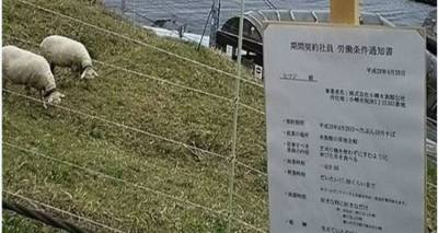 &Iota;&alpha;&pi;&omega;&nu;ί&alpha;: &Epsilon;&tau;&alpha;&iota;&rho;&epsilon;ί&alpha; &upsilon;&pi;έ&gamma;&rho;&alpha;&psi;&epsilon; &sigma;&upsilon;&mu;&beta;ά&sigma;&epsilon;&iota;&sigmaf; &kappa;&alpha;&iota; &mu;&epsilon;... &pi;&rho;ό&beta;&alpha;&tau;&alpha; | &Epsilon;&chi;&omicron;&upsilon;&nu; &omega;&rho;ά&rho;&iota;&omicron; &kappa;&alpha;&iota; &delta;&iota;&alpha;&lambda;&epsilon;ί&mu;&mu;&alpha;&tau;&alpha; (photos)