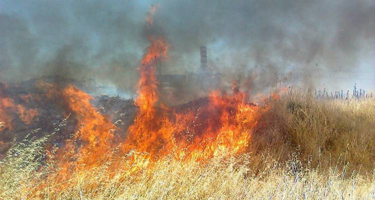 Ο Δήμος Λήμνου εφιστά την προσοχή των ιδιοκτητών οικοπέδων ενόψει της αντιπυρικής περιόδου