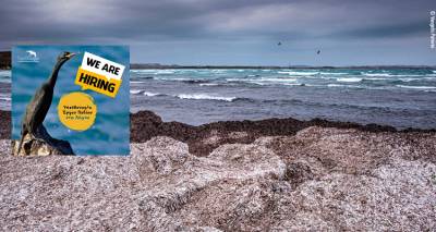 &Omicron;&rho;&nu;&iota;&theta;&omicron;&lambda;&omicron;&gamma;&iota;&kappa;ή &Epsilon;&tau;&alpha;&iota;&rho;&epsilon;ί&alpha;: Ά&nu;&omicron;&iota;&xi;&epsilon; &theta;έ&sigma;&eta; &epsilon;&rho;&gamma;&alpha;&sigma;ί&alpha;&sigmaf; &sigma;&tau;&eta; &Lambda;ή&mu;&nu;&omicron; &gamma;&iota;&alpha; &tau;&omicron; έ&rho;&gamma;&omicron; &laquo;Reviving Lemnos&raquo;