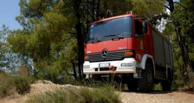 &Delta;ύ&omicron; &pi;&epsilon;&rho;&iota;&sigma;&tau;&alpha;&tau;&iota;&kappa;ά &phi;&omega;&tau;&iota;ά&sigmaf; &sigma;&tau;&omicron; &delta;&alpha;&sigma;ά&kappa;&iota; &Nu;έ&alpha;&sigmaf; &Kappa;&omicron;ύ&tau;&alpha;&lambda;&eta;&sigmaf; &sigma;&epsilon; &lambda;ί&gamma;&epsilon;&sigmaf; &eta;&mu;έ&rho;&epsilon;&sigmaf;