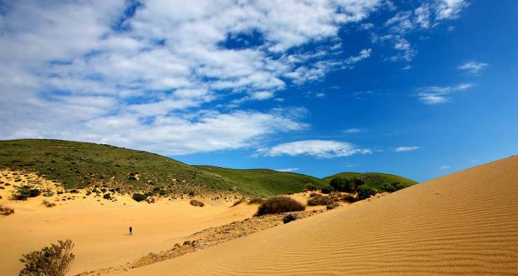 &Eta; &Epsilon;&lambda;&lambda;ά&delta;&alpha; έ&chi;&epsilon;&iota; &tau;&eta; &delta;&iota;&kappa;ή &tau;&eta;&sigmaf; &laquo;&Sigma;&alpha;&chi;ά&rho;&alpha;&raquo; &kappa;&alpha;&iota;... &beta;&rho;ί&sigma;&kappa;&epsilon;&tau;&alpha;&iota; &sigma;&tau;&eta; &Lambda;ή&mu;&nu;&omicron;! (photos)