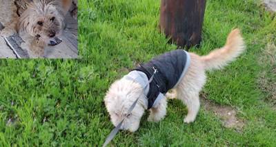 &Chi;ά&theta;&eta;&kappa;&epsilon; &omicron; &Gamma;&kappa;&omicron;ύ&phi;&iota; &sigma;&tau;&omicron;&nu; &Mu;&omicron;ύ&delta;&rho;&omicron; | &Mu;&pi;&omicron;&rho;&epsilon;ί&tau;&epsilon; &nu;&alpha; &beta;&omicron;&eta;&theta;ή&sigma;&epsilon;&tau;&epsilon;;