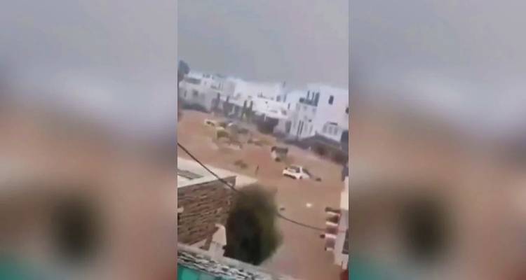&Eta; &kappa;&alpha;&kappa;&omicron;&kappa;&alpha;&iota;&rho;ί&alpha; &sigma;&alpha;&rho;ώ&nu;&epsilon;&iota; &tau;&iota;&sigmaf; &Kappa;&upsilon;&kappa;&lambda;ά&delta;&epsilon;&sigmaf;: &Epsilon;&kappa;&delta;ό&theta;&eta;&kappa;&epsilon; 112 &gamma;&iota;&alpha; &alpha;&pi;&alpha;&gamma;ό&rho;&epsilon;&upsilon;&sigma;&eta; &mu;&epsilon;&tau;&alpha;&kappa;ί&nu;&eta;&sigma;&eta;&sigmaf; &sigma;&tau;&eta;&nu; &Pi;ά&rho;&omicron; | &Epsilon;&iota;&kappa;ό&nu;&epsilon;&sigmaf; &kappa;&alpha;&iota; &beta;ί&nu;&tau;&epsilon;&omicron; &sigma;&omicron;&kappa;