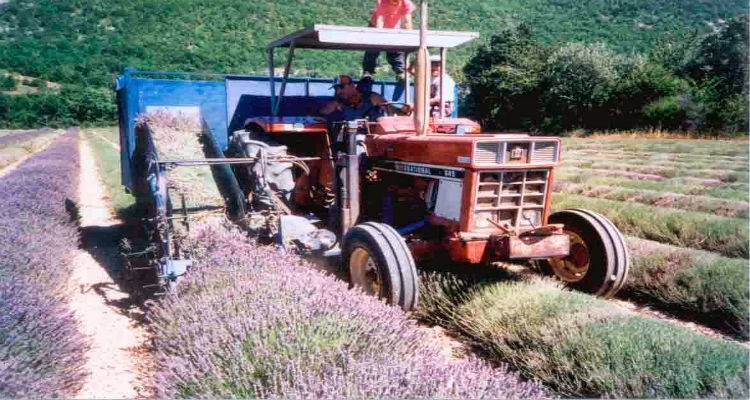 Ημερίδα για την Αγροτική Ανάπτυξη και τους Νέους Αγρότες
