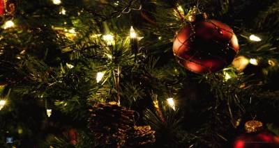 Το Θάνος φωταγωγεί το Χριστουγεννιάτικο Δέντρο του