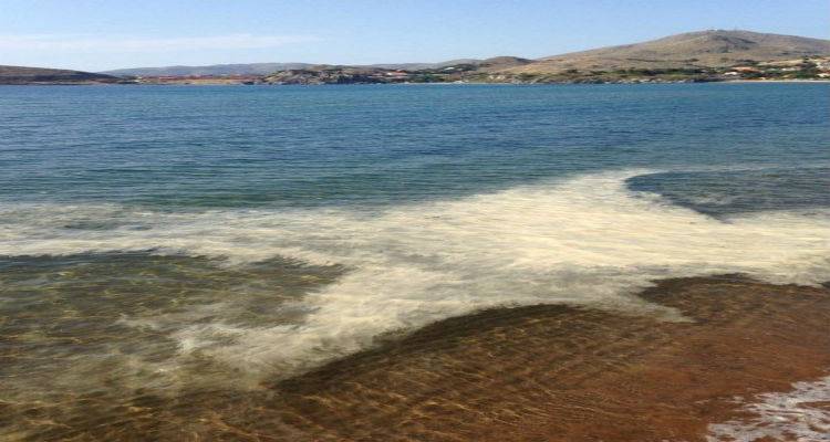 &Kappa;&alpha;&phi;έ &kappa;&eta;&lambda;ί&delta;&epsilon;&sigmaf; &sigma;&tau;&iota;&sigmaf; &pi;&alpha;&rho;&alpha;&lambda;ί&epsilon;&sigmaf; &tau;&eta;&sigmaf; &Lambda;ή&mu;&nu;&omicron;&upsilon; | &Kappa;&alpha;&theta;&eta;&sigma;&upsilon;&chi;ά&zeta;&epsilon;&iota; &tau;&omicron; &Lambda;&iota;&mu;&epsilon;&nu;&alpha;&rho;&chi;&epsilon;ί&omicron; &tau;&omicron;&upsilon; &nu;&eta;&sigma;&iota;&omicron;ύ