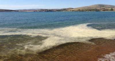 &Kappa;&alpha;&phi;έ &kappa;&eta;&lambda;ί&delta;&epsilon;&sigmaf; &sigma;&tau;&iota;&sigmaf; &pi;&alpha;&rho;&alpha;&lambda;ί&epsilon;&sigmaf; &tau;&eta;&sigmaf; &Lambda;ή&mu;&nu;&omicron;&upsilon; | &Kappa;&alpha;&theta;&eta;&sigma;&upsilon;&chi;ά&zeta;&epsilon;&iota; &tau;&omicron; &Lambda;&iota;&mu;&epsilon;&nu;&alpha;&rho;&chi;&epsilon;ί&omicron; &tau;&omicron;&upsilon; &nu;&eta;&sigma;&iota;&omicron;ύ