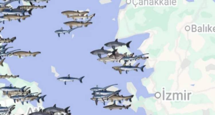 &Omicron;&iota; &kappa;&alpha;&rho;&chi;&alpha;&rho;ί&epsilon;&sigmaf; &tau;&omega;&nu; &epsilon;&lambda;&lambda;&eta;&nu;&iota;&kappa;ώ&nu; &theta;&alpha;&lambda;&alpha;&sigma;&sigma;ώ&nu; | &Eta; &alpha;&kappa;&tau;&iota;&nu;&omicron;&gamma;&rho;&alpha;&phi;ί&alpha; &tau;&omega;&nu; &kappa;&alpha;&tau;&alpha;&gamma;&rho;&alpha;&phi;ώ&nu; &kappa;&alpha;&iota; &eta; &pi;&alpha;&rho;&omicron;&upsilon;&sigma;ί&alpha; &tau;&omicron;&upsilon;&sigmaf; &sigma;&tau;&eta; &Lambda;ή&mu;&nu;&omicron;