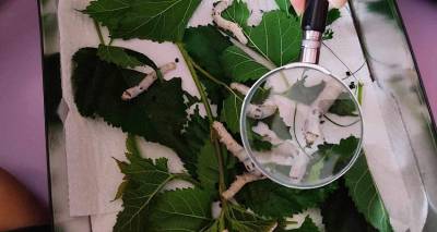 i-stavroyla-fragkoudaki-zontaneyei-gia-tous-mathites-tis-limnou-tin-oraia-metamorfomeni-tis