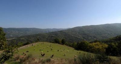 &Sigma;&tau;&eta; &Beta;&omicron;&upsilon;&lambda;ή &tau;&alpha; &pi;&rho;&omicron;&beta;&lambda;ή&mu;&alpha;&tau;&alpha; &sigma;&epsilon; &alpha;&gamma;&rho;ό&tau;&epsilon;&sigmaf; &kappa;&alpha;&iota; &kappa;&tau;&eta;&nu;&omicron;&tau;&rho;ό&phi;&omicron;&upsilon;&sigmaf; &Lambda;έ&sigma;&beta;&omicron;&upsilon; &kappa;&alpha;&iota; &Lambda;ή&mu;&nu;&omicron;&upsilon; &alpha;&pi;ό &tau;&eta;&nu; &alpha;&nu;ά&rho;&tau;&eta;&sigma;&eta; &tau;&omega;&nu; &delta;&alpha;&sigma;&iota;&kappa;ώ&nu; &chi;&alpha;&rho;&tau;ώ&nu;