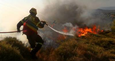 &laquo;&Kappa;&alpha;&mu;&pi;&alpha;&nu;ά&kappa;&iota;&raquo; &alpha;&pi;ό &tau;&eta;&nu; &Pi;&upsilon;&rho;&omicron;&sigma;&beta;&epsilon;&sigma;&tau;&iota;&kappa;ή &Delta;&iota;&omicron;ί&kappa;&eta;&sigma;&eta; &Beta;. &Alpha;&iota;&gamma;&alpha;ί&omicron;&upsilon; &gamma;&iota;&alpha; &epsilon;&kappa;&delta;ή&lambda;&omega;&sigma;&eta; &pi;&upsilon;&rho;&kappa;&alpha;&gamma;&iota;ά&sigmaf; &lambda;ό&gamma;&omega; &theta;&upsilon;&epsilon;&lambda;&lambda;&omega;&delta;ώ&nu; &alpha;&nu;έ&mu;&omega;&nu;