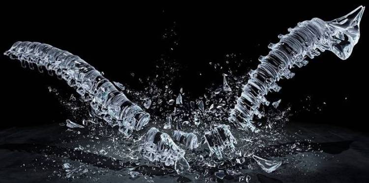 &Tau;&rho;&omicron;&phi;έ&sigmaf; &pi;&omicron;&upsilon; &chi;&tau;ί&zeta;&omicron;&upsilon;&nu; έ&nu;&alpha; &gamma;&epsilon;&rho;ό &sigma;&kappa;&epsilon;&lambda;&epsilon;&tau;ό!