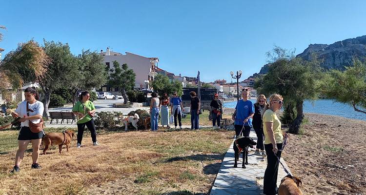 Διαμαρτυρία του Φιλοζωικού Σωματείου Λήμνου για την Κτηνιατρική Υπηρεσία