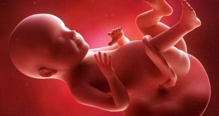 &Gamma;&iota;&alpha;&tau;&rho;ό&sigmaf; &xi;έ&chi;&alpha;&sigma;&epsilon; &tau;&omicron; &kappa;&epsilon;&phi;ά&lambda;&iota; &epsilon;&mu;&beta;&rho;ύ&omicron;&upsilon; &sigma;&tau;&eta; &mu;ή&tau;&rho;&alpha; &kappa;&alpha;&tau;ά &tau;&eta;&nu; ά&mu;&beta;&lambda;&omega;&sigma;&eta;
