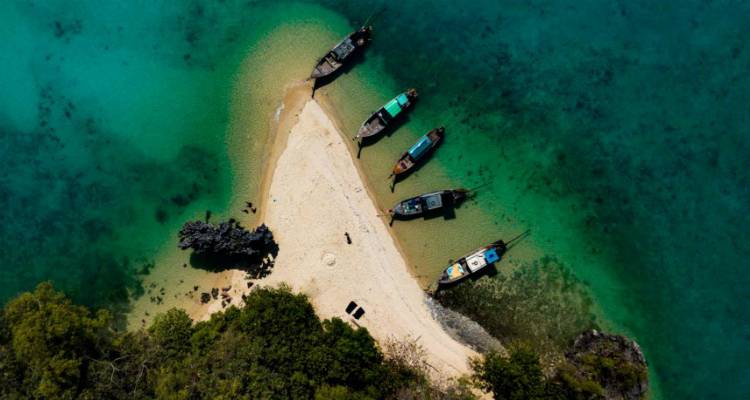 &Phi;&omega;&tau;&omicron;&gamma;&rho;&alpha;&phi;ί&alpha;: &Kappa;&omicron;&sigma;&mu;ά&sigmaf; &Kappa;&omicron;&upsilon;&mu;&iota;&alpha;&nu;ό&sigmaf;, &Kappa;ώ&sigma;&tau;&alpha;&sigmaf; &Pi;&omicron;&tau;&alpha;&mu;ί&tau;&eta;&sigmaf;