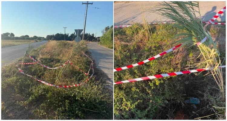 &Lambda;ή&mu;&nu;&omicron;&sigmaf;: &Pi;&alpha;&rho;&alpha;&mu;έ&nu;&epsilon;&iota; &epsilon;&pi;&iota;&kappa;ί&nu;&delta;&upsilon;&nu;&eta; &eta; &laquo;&pi;&alpha;&gamma;ί&delta;&alpha;&raquo; &sigma;&tau;&eta; &delta;&iota;&chi;ά&lambda;&alpha; &Rho;&epsilon;&pi;&alpha;&nu;&iota;&delta;ί&omicron;&upsilon; - &Kappa;&omicron;&nu;&tau;&omicron;&pi;&omicron;&upsilon;&lambda;ί&omicron;&upsilon; &mu;&epsilon;&tau;ά &alpha;&pi;ό &alpha;&tau;ύ&chi;&eta;&mu;&alpha; | Έ&kappa;&kappa;&lambda;&eta;&sigma;&eta; &kappa;&alpha;&tau;&omicron;ί&kappa;&omega;&nu; &gamma;&iota;&alpha; ά&mu;&epsilon;&sigma;&eta; &sigma;ή&mu;&alpha;&nu;&sigma;&eta;