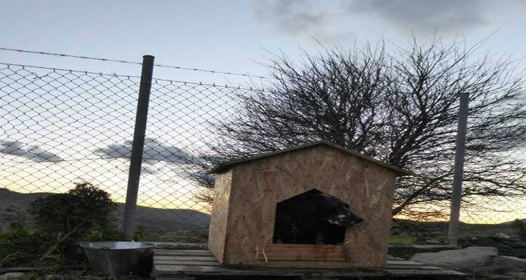 Στο αστυνομικό τμήμα Μύρινας τα μέλη του Φιλοζωικού Σωματείου Λήμνου (photo)