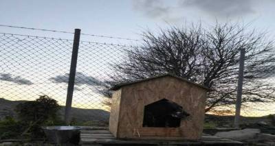 Στο αστυνομικό τμήμα Μύρινας τα μέλη του Φιλοζωικού Σωματείου Λήμνου (photo)