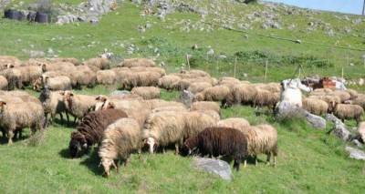 Μην είδατε τις αποζημιώσεις για τον καταρροϊκό;