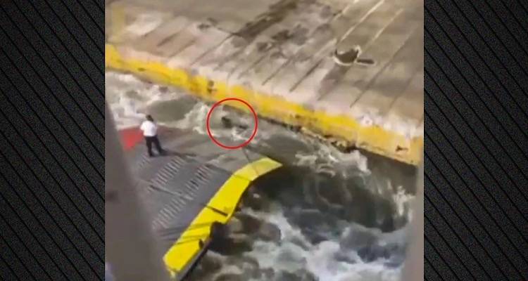 &Sigma;&tau;&eta; &phi;&upsilon;&lambda;&alpha;&kappa;ή &omicron; &pi;&lambda;&omicron;ί&alpha;&rho;&chi;&omicron;&sigmaf; &kappa;&alpha;&iota; &omicron; ύ&pi;&alpha;&rho;&chi;&omicron;&sigmaf; &gamma;&iota;&alpha; &tau;&omicron;&nu; &theta;ά&nu;&alpha;&tau;&omicron; &tau;&omicron;&upsilon; &Alpha;&nu;&tau;ώ&nu;&eta; &Kappa;&alpha;&rho;&gamma;&iota;ώ&tau;&eta; | &Kappa;&alpha;&theta;&epsilon;ί&rho;&xi;&epsilon;&iota;&sigmaf; &chi;&omega;&rho;ί&sigmaf; &alpha;&nu;&alpha;&sigma;&tau;&omicron;&lambda;ή