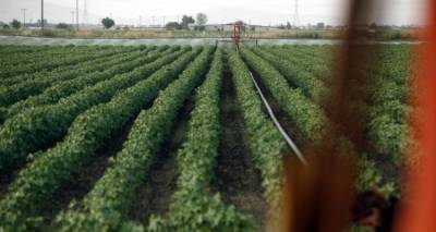 &Psi;&eta;&phi;&iota;&alpha;&kappa;ό restart &sigma;&tau;&omicron;&nu; &pi;&rho;&omega;&tau;&omicron;&gamma;&epsilon;&nu;ή &tau;&omicron;&mu;έ&alpha; | &Tau;&iota; &phi;έ&rho;&nu;&epsilon;&iota; &tau;&omicron; &pi;&rho;ό&gamma;&rho;&alpha;&mu;&mu;&alpha; &laquo;&Epsilon;&xi;&omega;&sigma;&tau;&rho;&epsilon;&phi;ή&sigmaf; &gamma;&epsilon;&omega;&rho;&gamma;ί&alpha;&raquo;