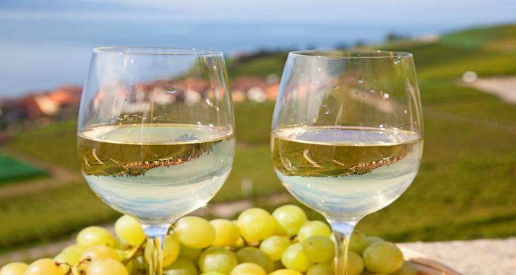 &Tau;&alpha; &kappa;&rho;&alpha;&sigma;&iota;ά &tau;&eta;&sigmaf; &Lambda;ή&mu;&nu;&omicron;&upsilon; &tau;&alpha;&xi;&iota;&delta;&epsilon;ύ&omicron;&upsilon;&nu; &sigma;&tau;&eta;&nu; &Alpha;&theta;ή&nu;&alpha;